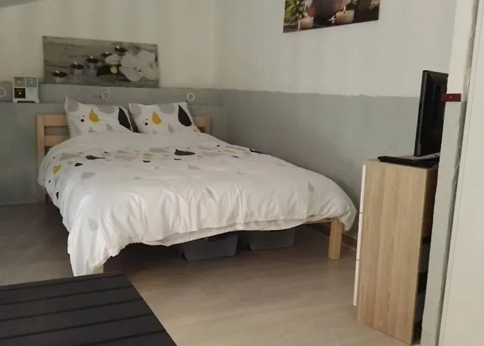 Studio Mezzanine En Residence Avec Piscine Au Village